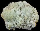 Green Prehnite Crystal Cluster - Morocco #52281-1